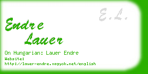 endre lauer business card